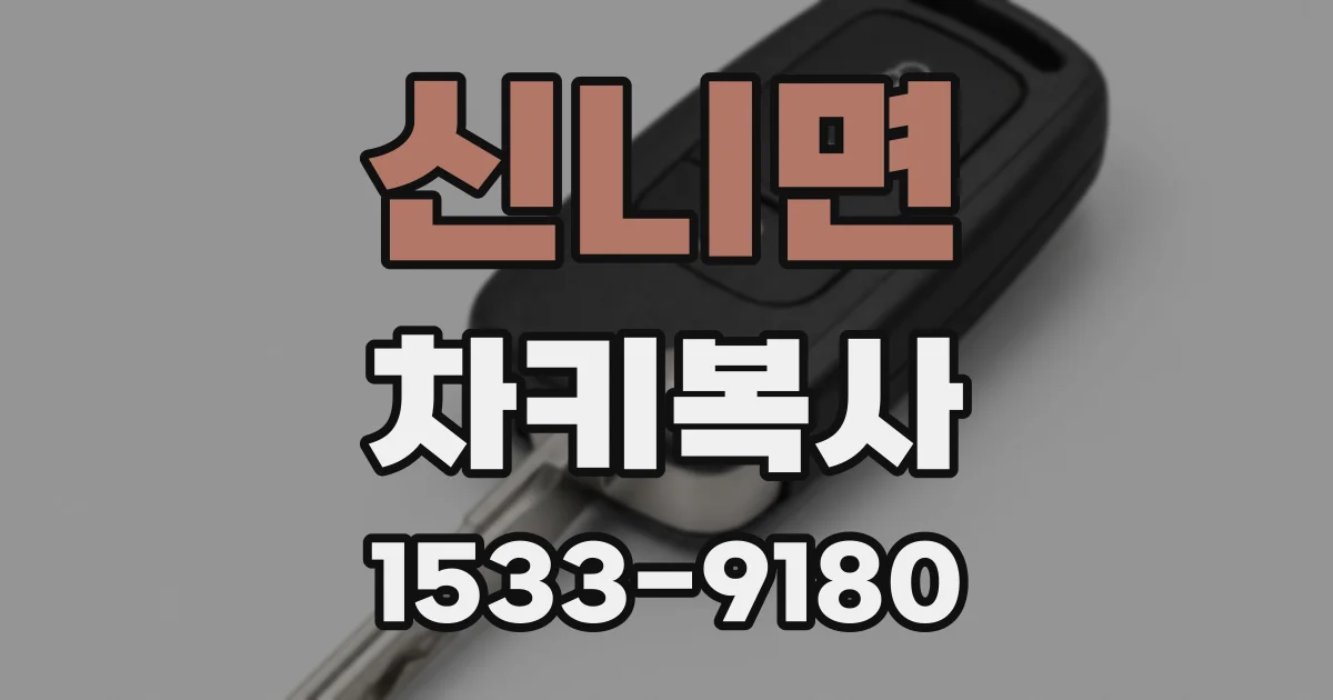 신니면 차키복사