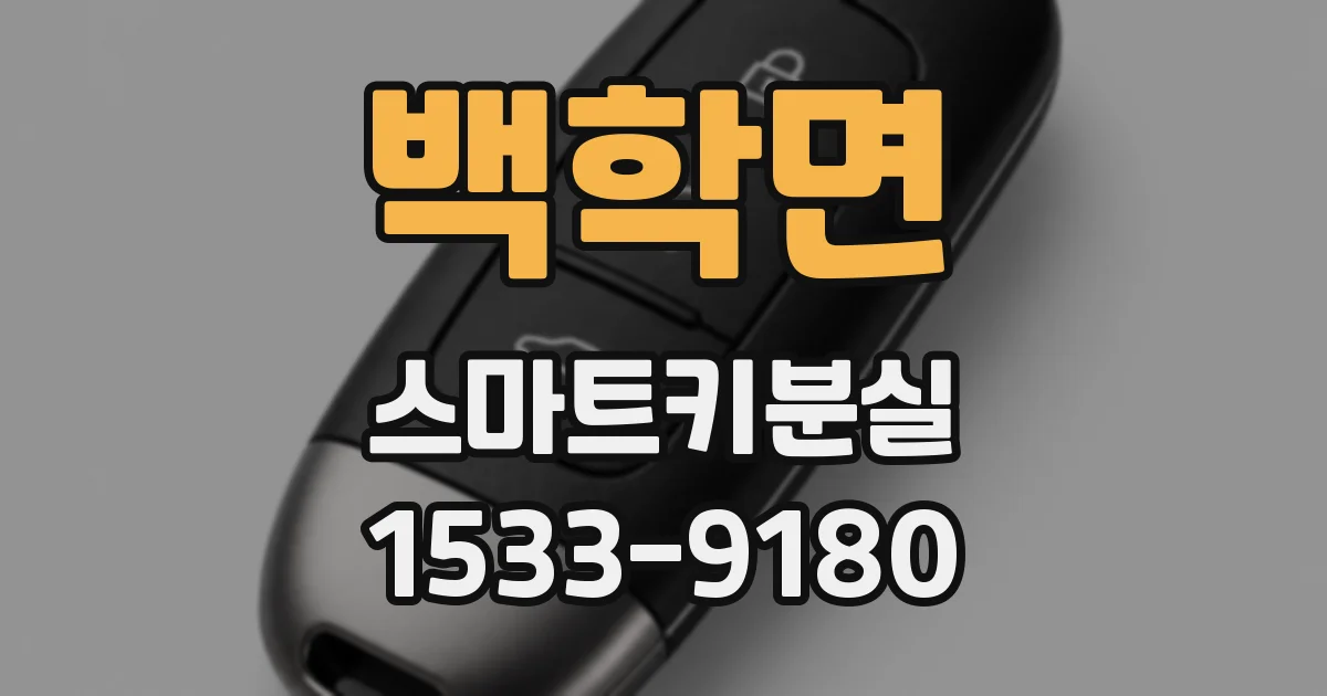 백학면 스마트키분실