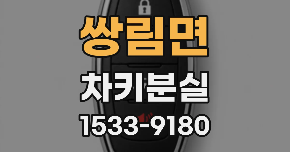 쌍림면 차키분실