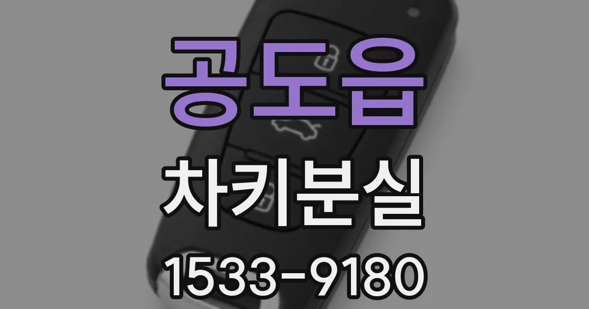 공도읍 차키분실