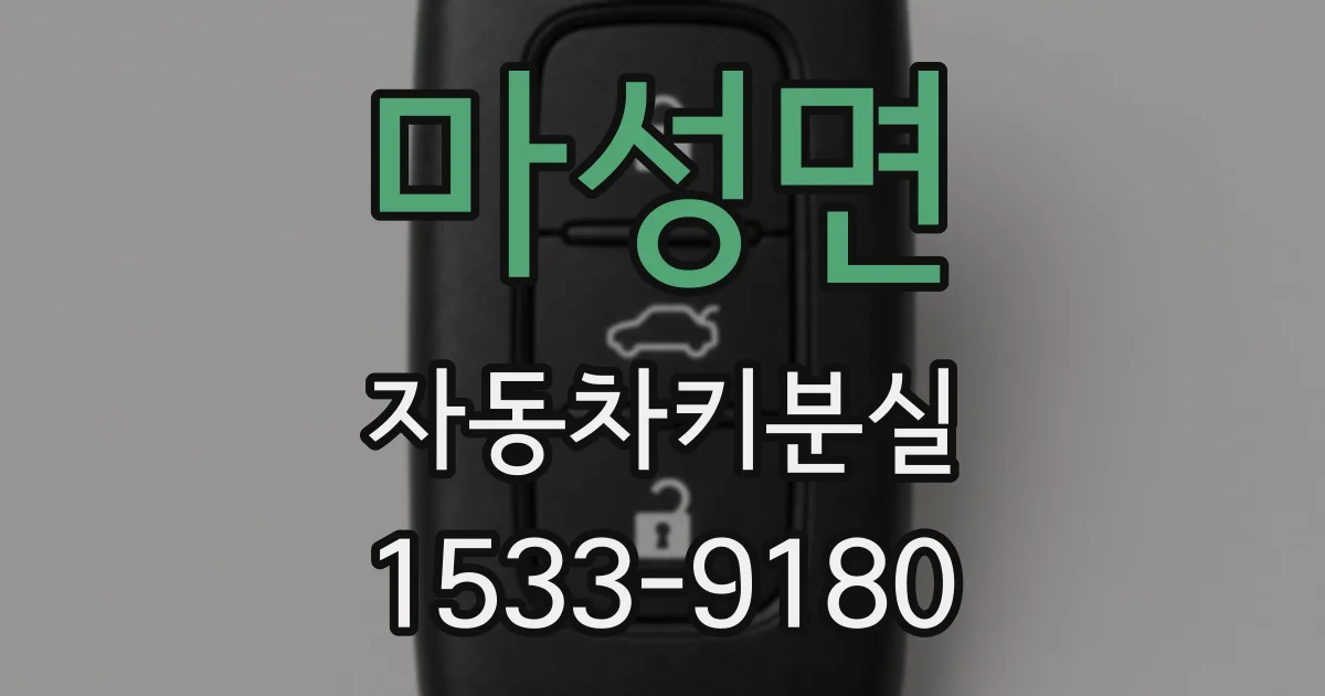 마성면 자동차키분실