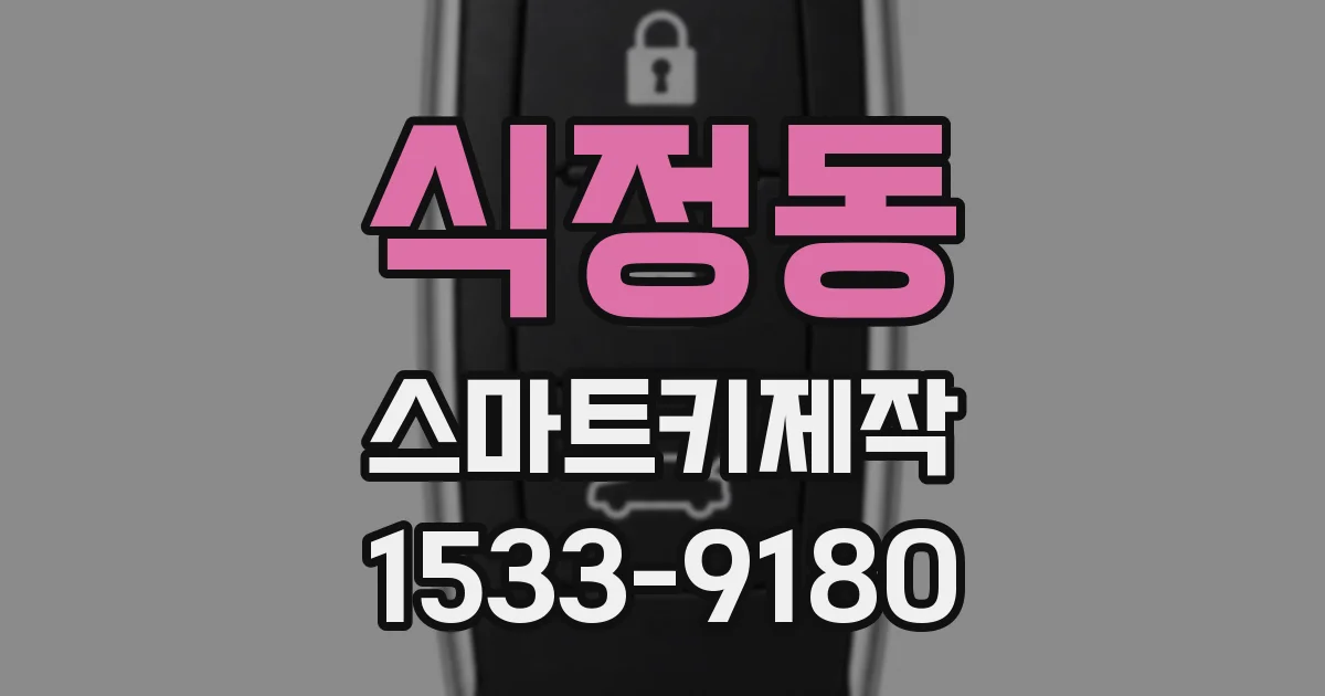 식정동 스마트키제작