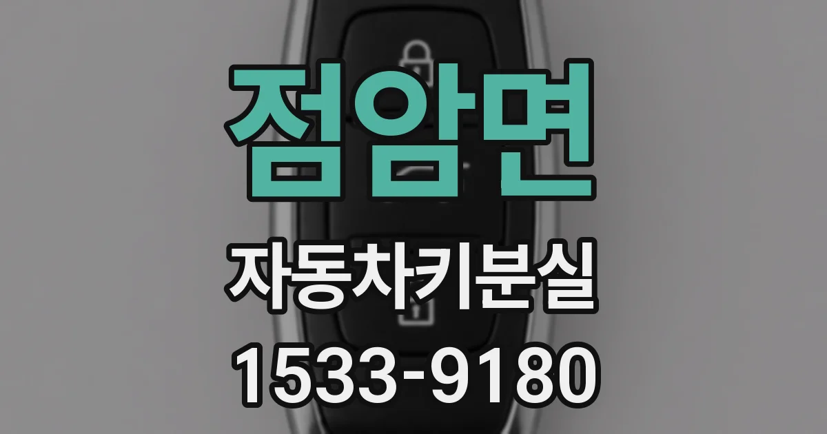 점암면 자동차키분실