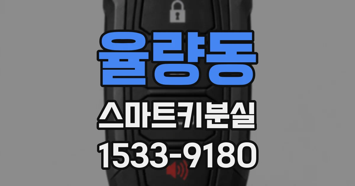 율량동 스마트키분실