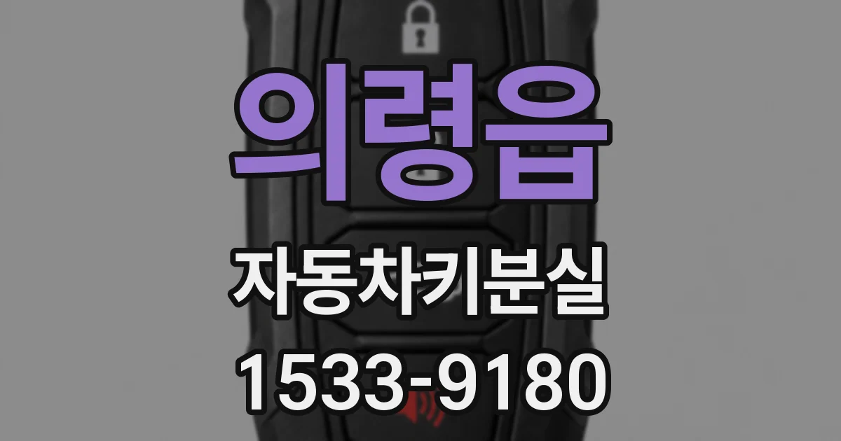 의령읍 자동차키분실