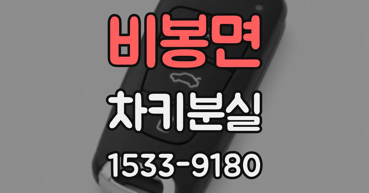 비봉면 차키분실