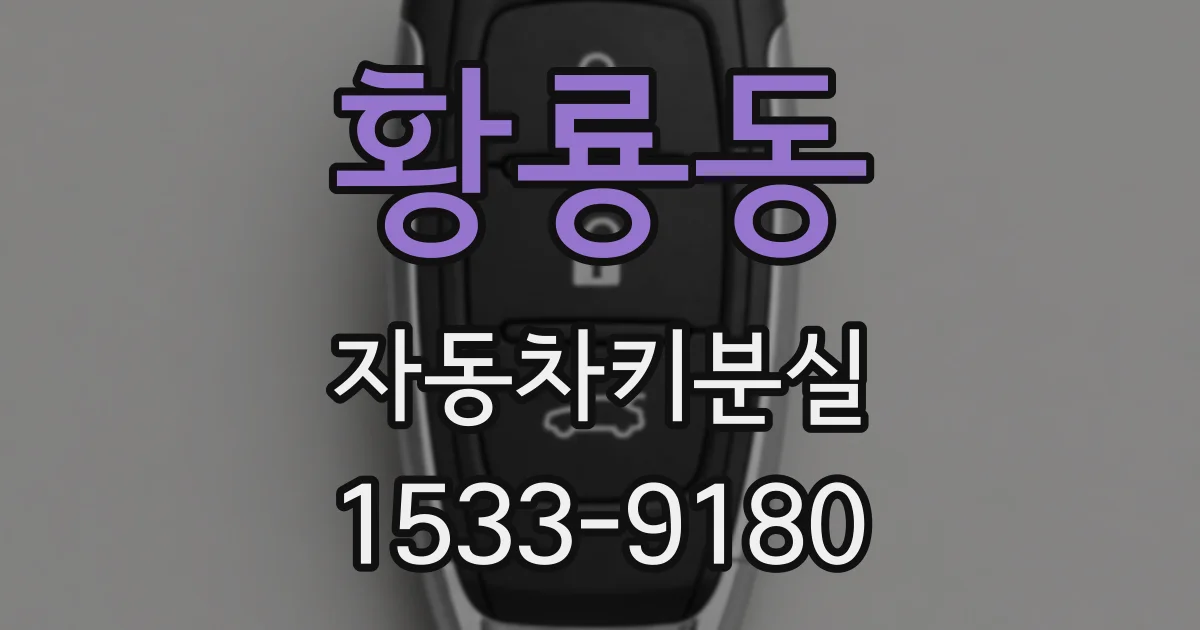 황룡동 자동차키분실