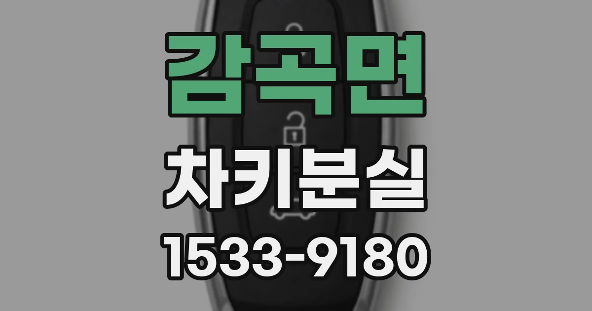 감곡면 차키분실
