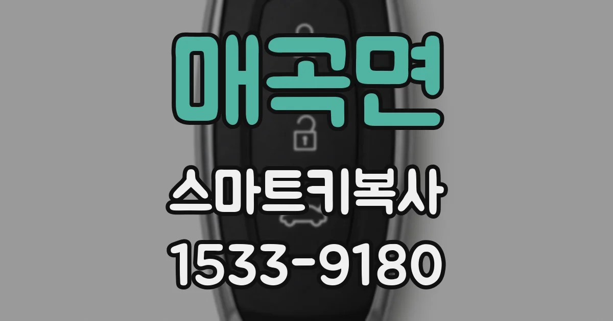 매곡면 스마트키복사
