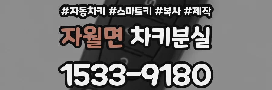 자월면 차키분실