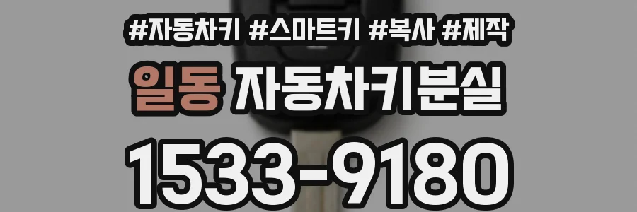 일동 자동차키분실
