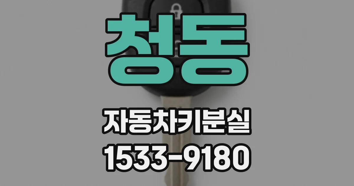 청동 자동차키분실