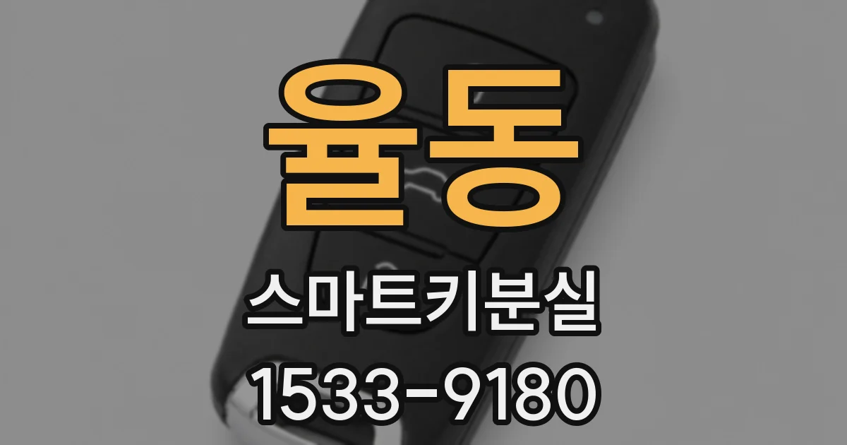 율동 스마트키분실