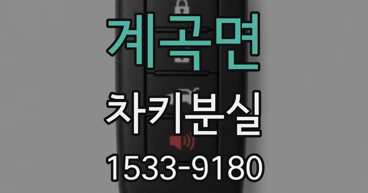 계곡면 차키분실