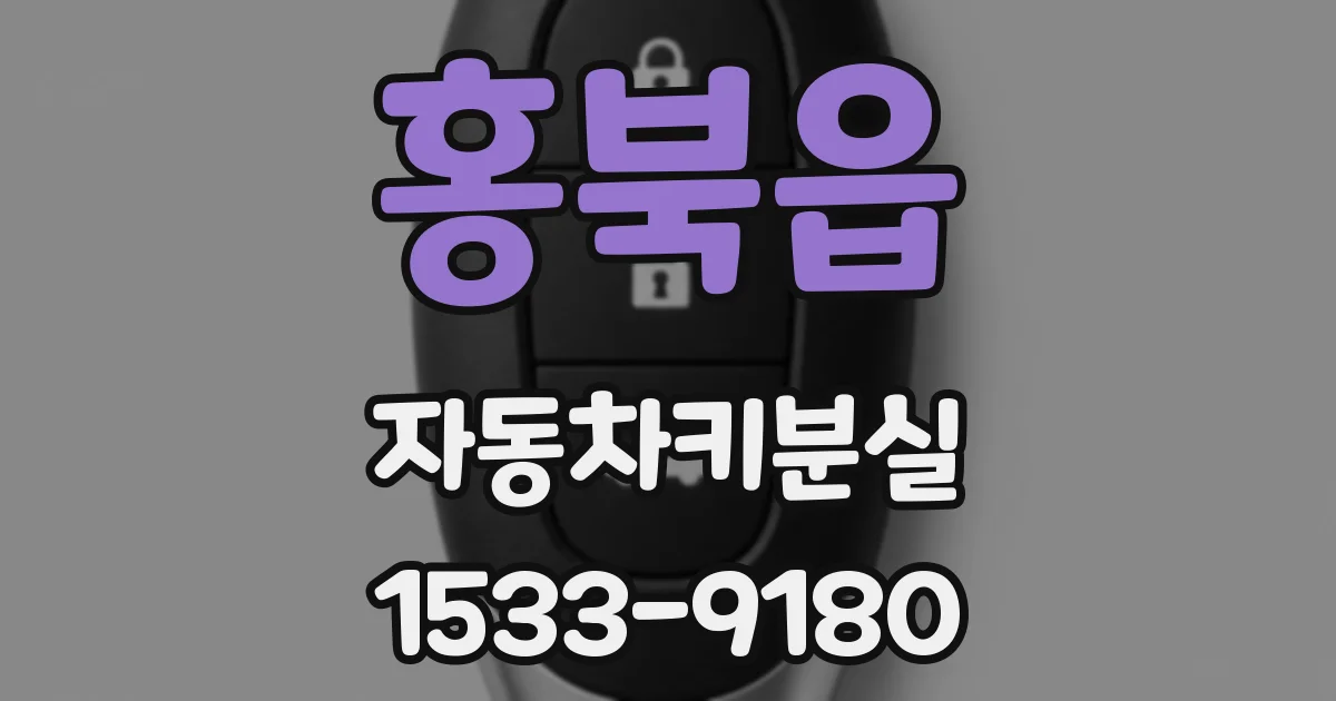 홍북읍 자동차키분실