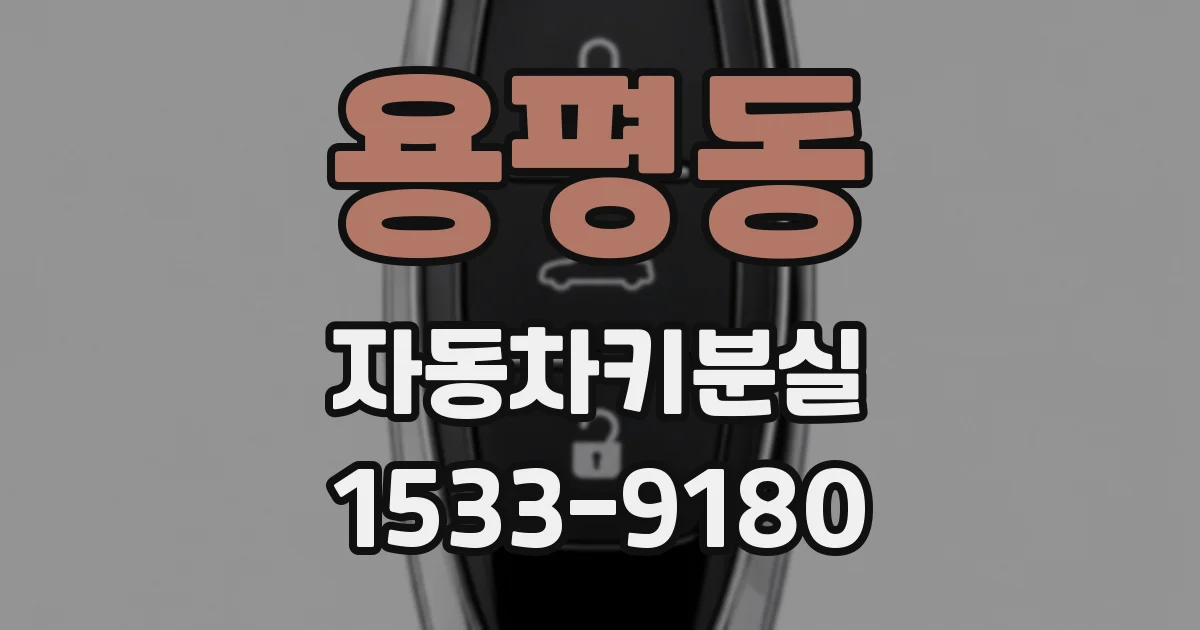 용평동 자동차키분실