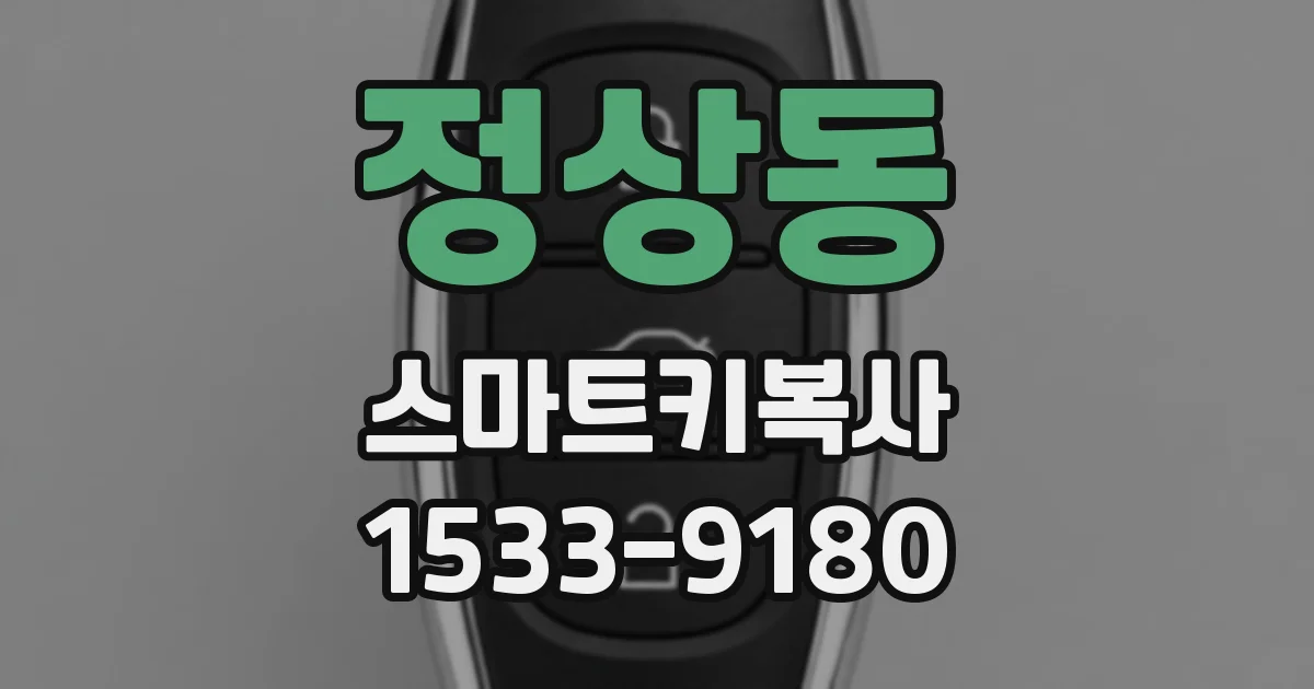 정상동 스마트키복사