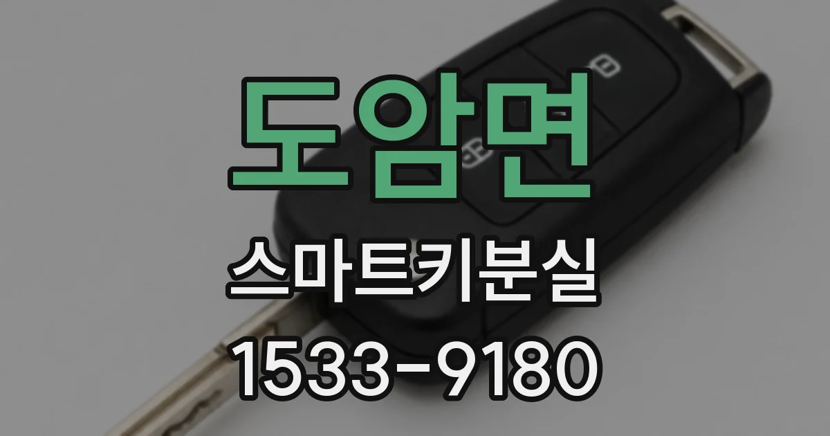 도암면 스마트키분실