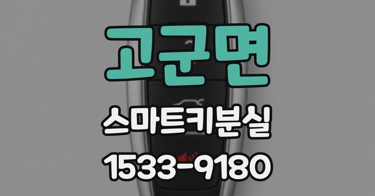 고군면 스마트키분실