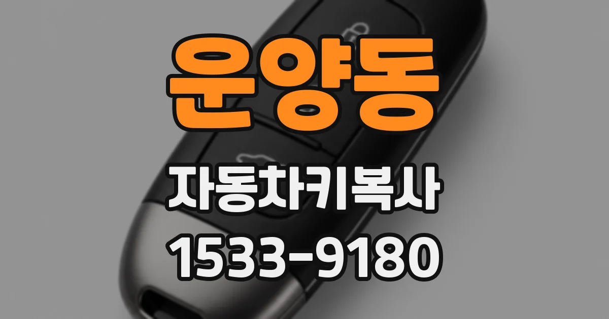 운양동 자동차키복사