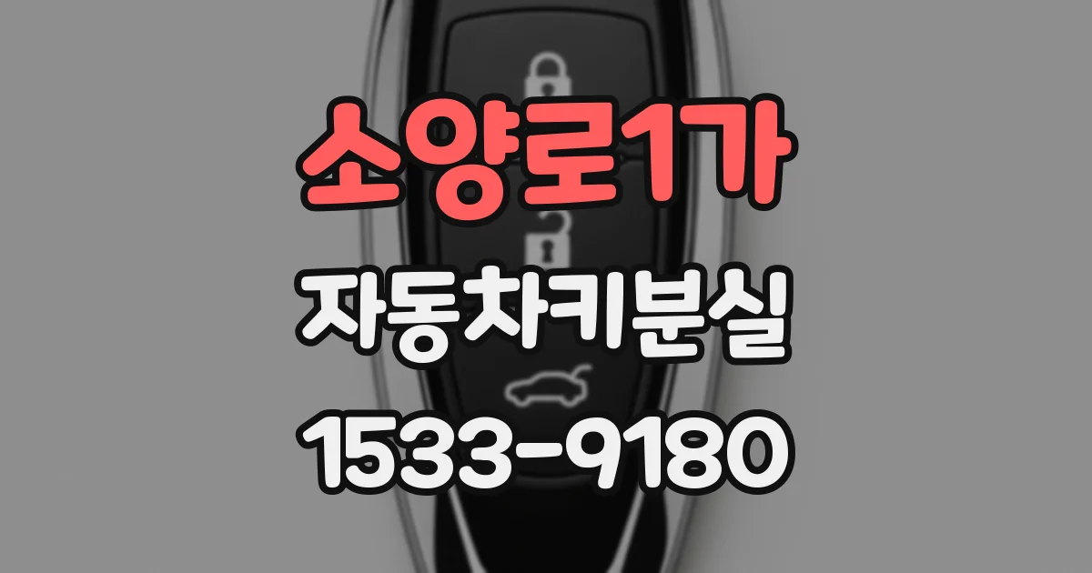 소양로1가 자동차키분실