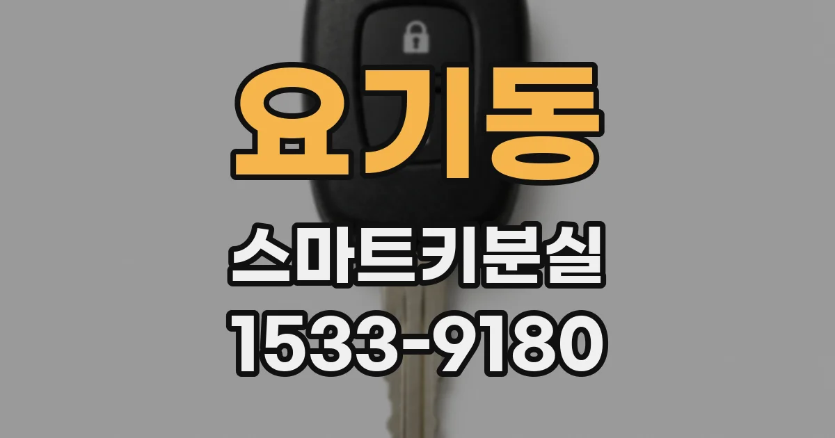 요기동 스마트키분실
