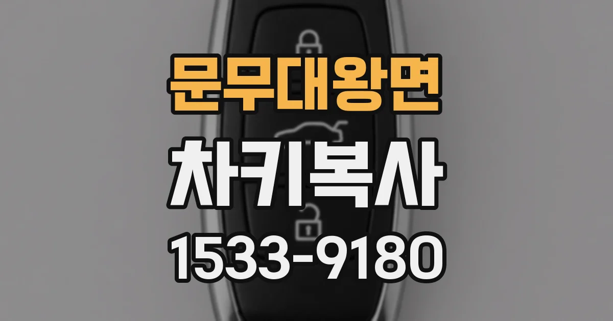 문무대왕면 차키복사