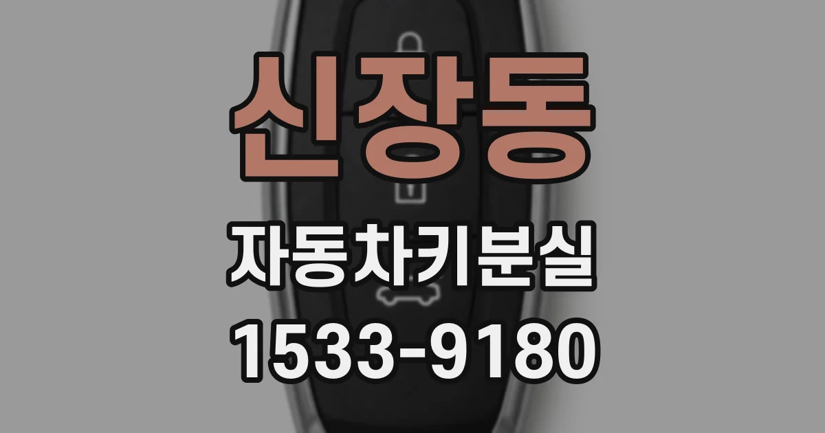 신장동 자동차키분실