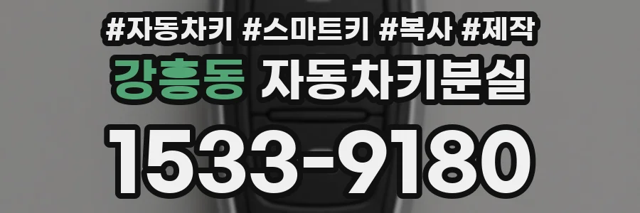 강흥동 자동차키분실
