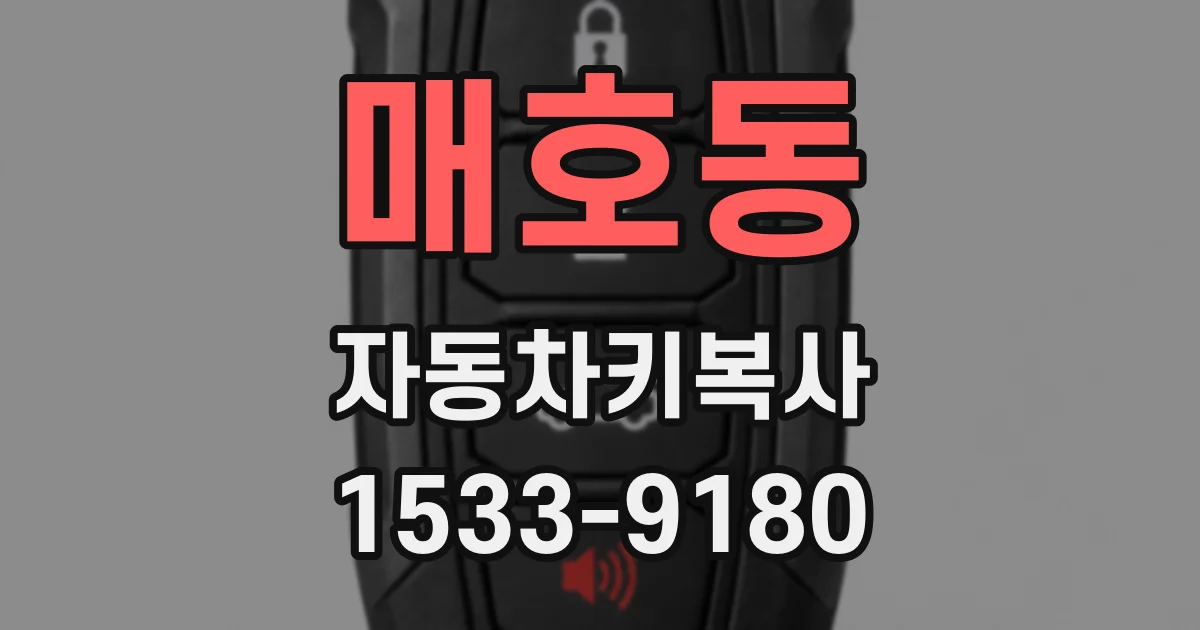 매호동 자동차키복사