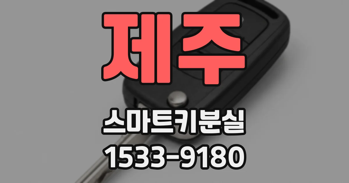 제주 스마트키분실