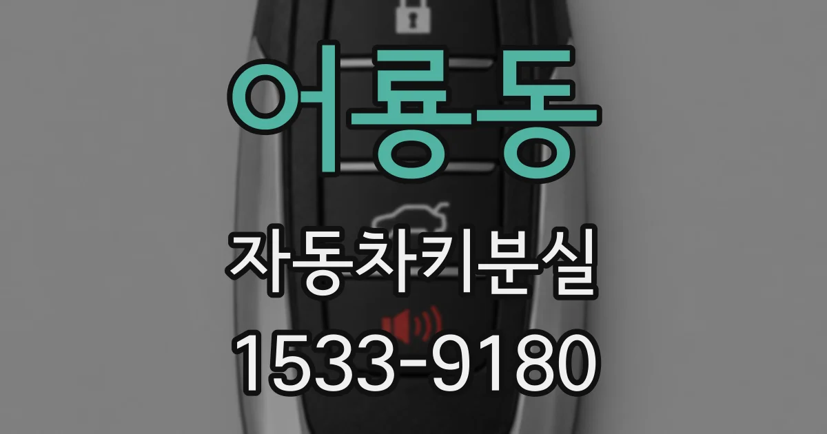 어룡동 자동차키분실
