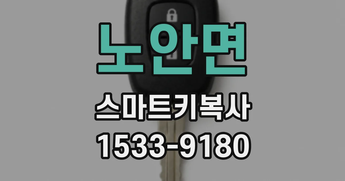 노안면 스마트키복사