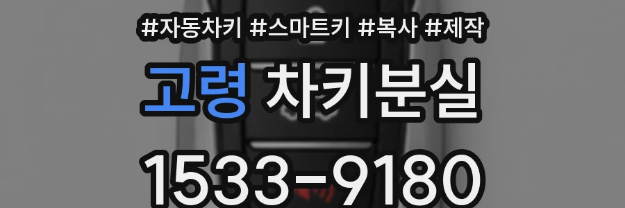 고령 차키분실