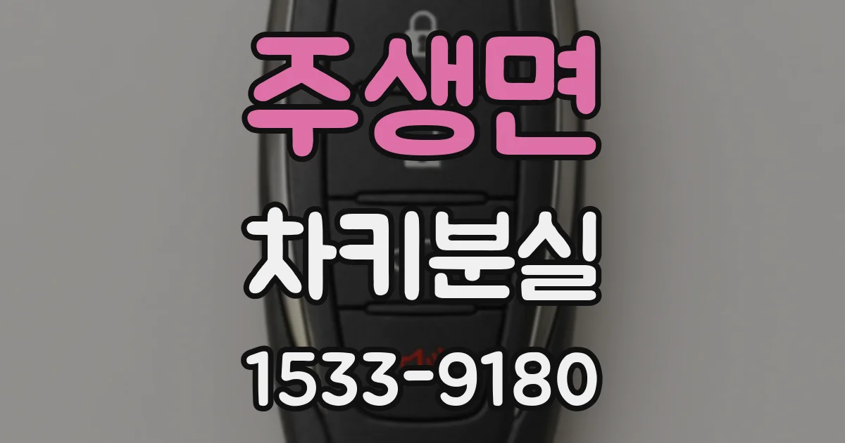 주생면 차키분실