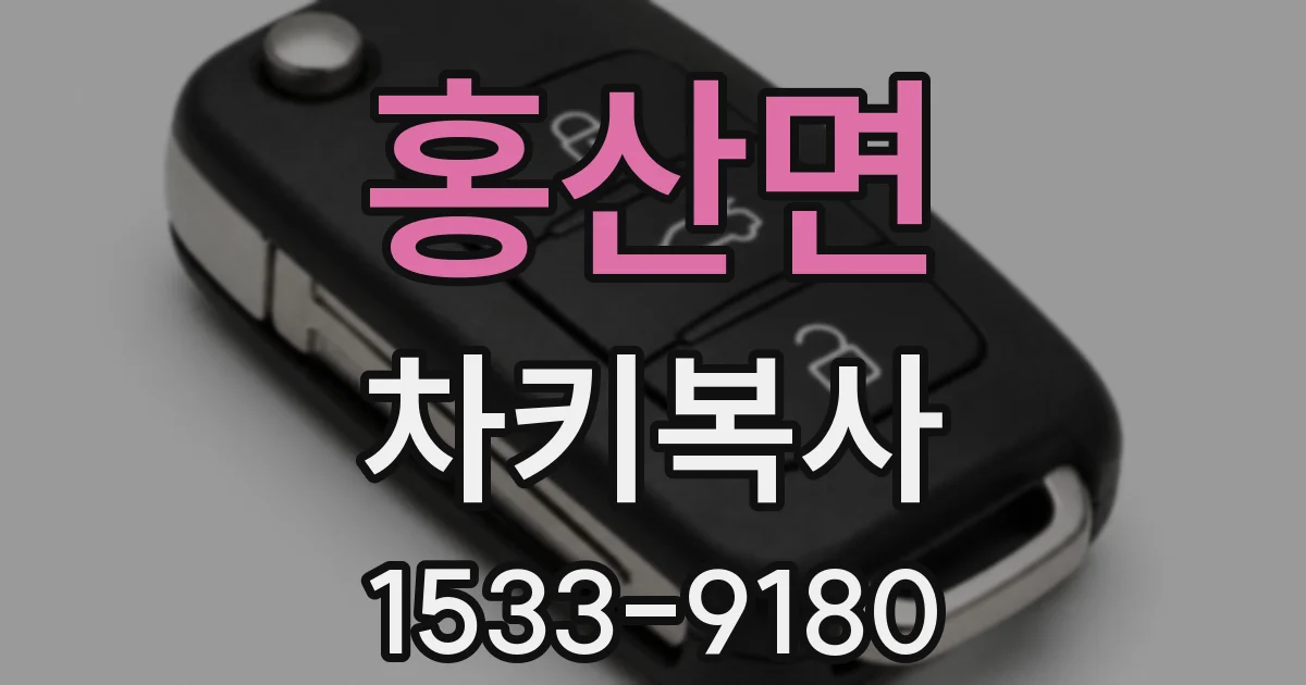 홍산면 차키복사