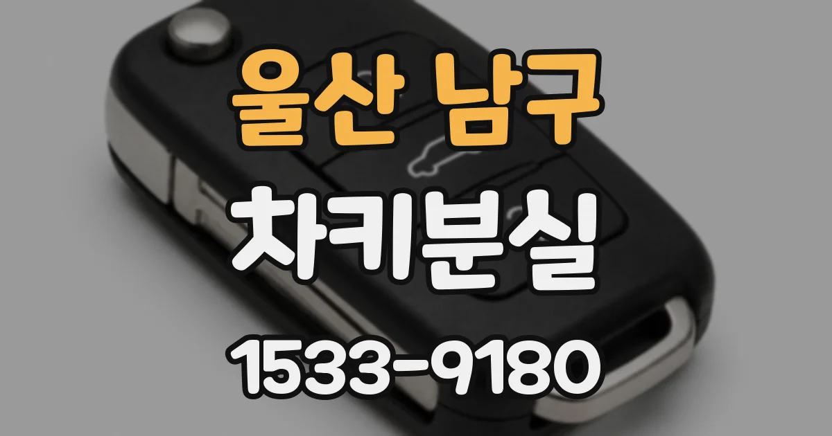 울산 남구 차키분실