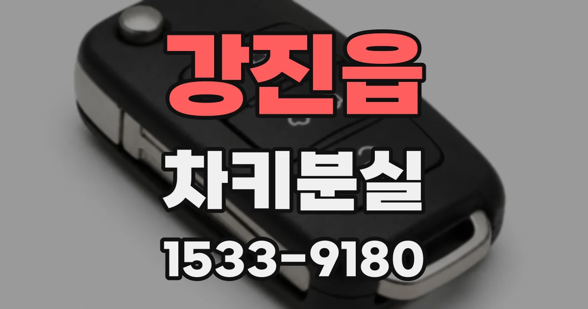 강진읍 차키분실