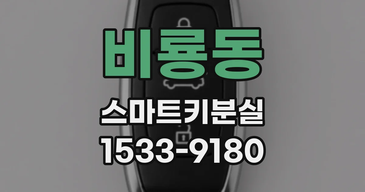 비룡동 스마트키분실