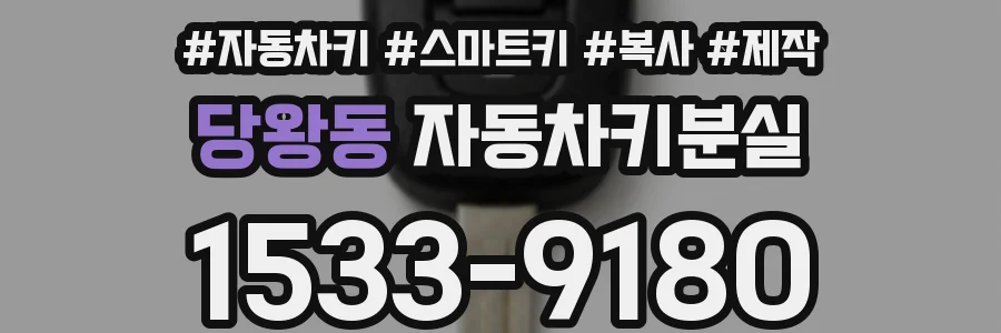 당왕동 자동차키분실