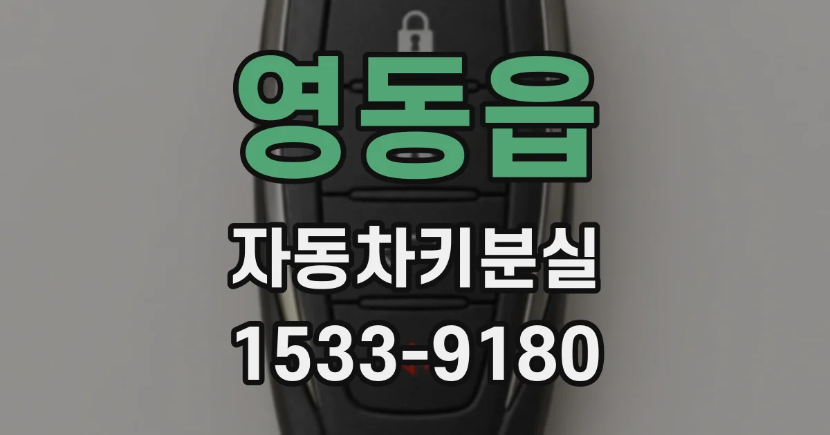 영동읍 자동차키분실
