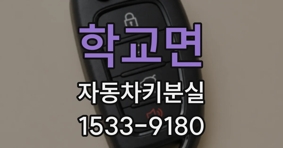 학교면 자동차키분실