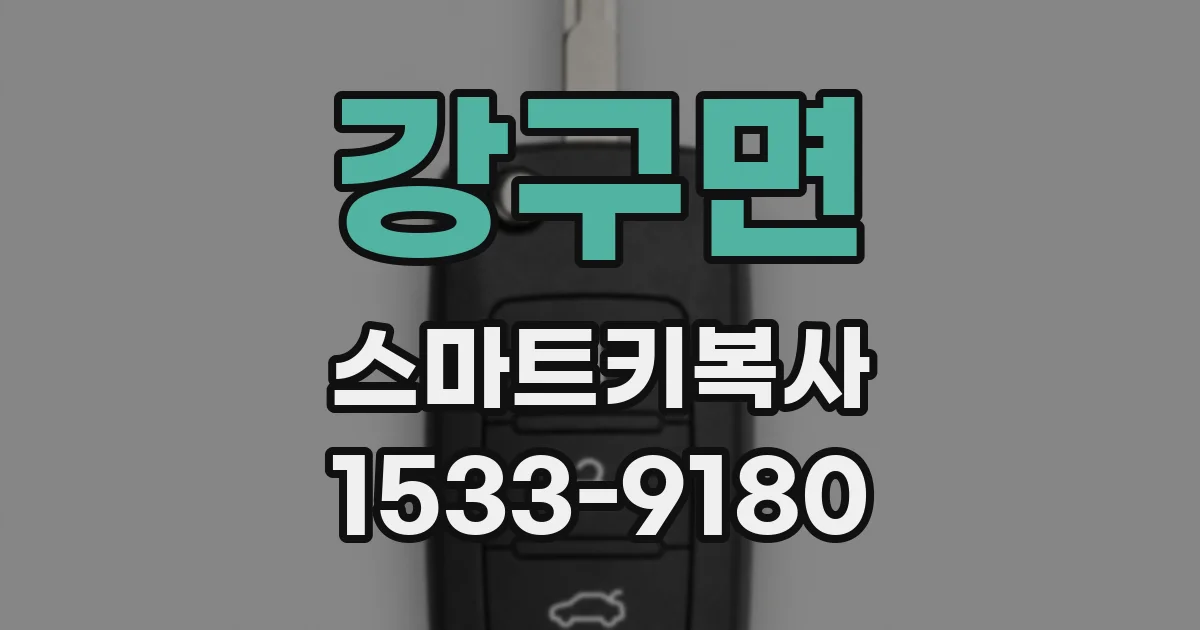강구면 스마트키복사