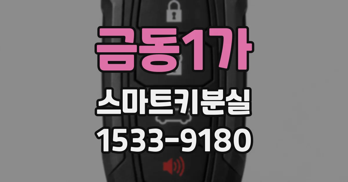 금동1가 스마트키분실