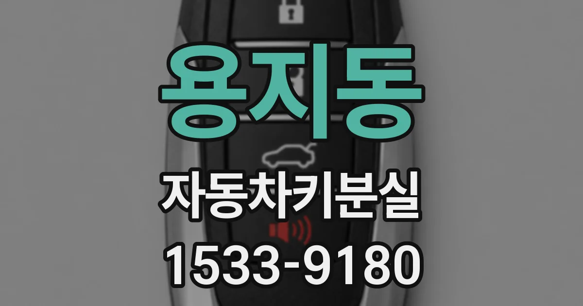 용지동 자동차키분실