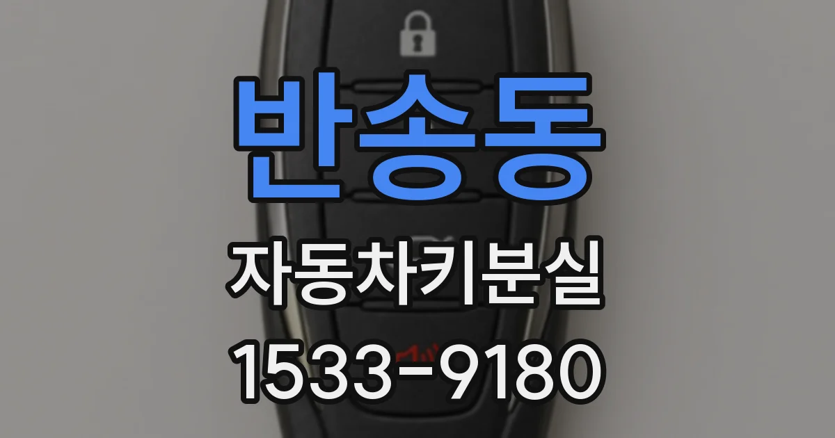 반송동 자동차키분실