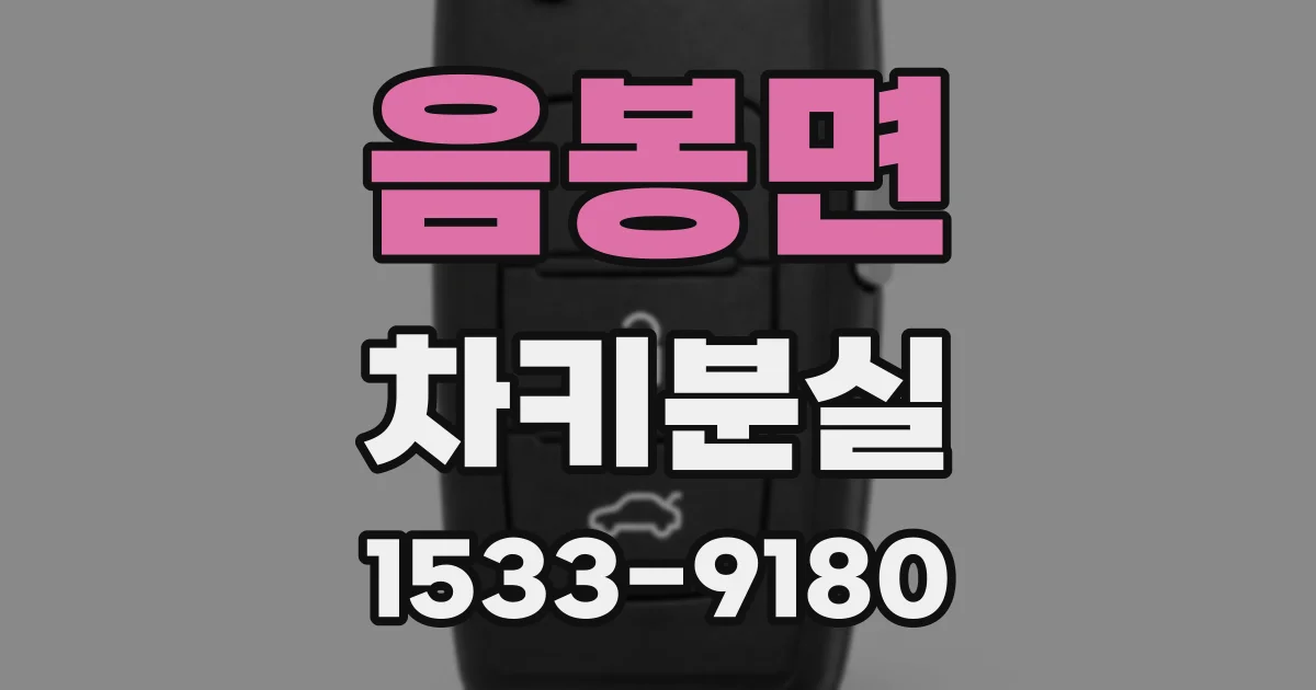 음봉면 차키분실