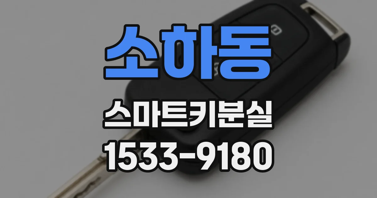 소하동 스마트키분실