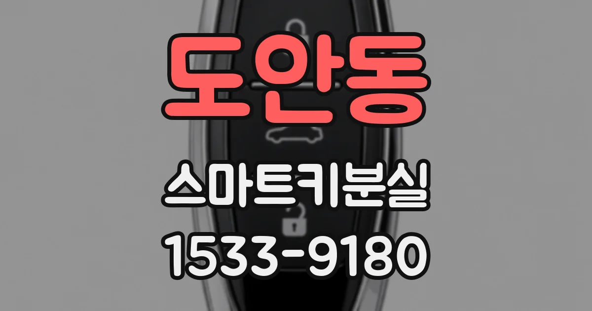 도안동 스마트키분실
