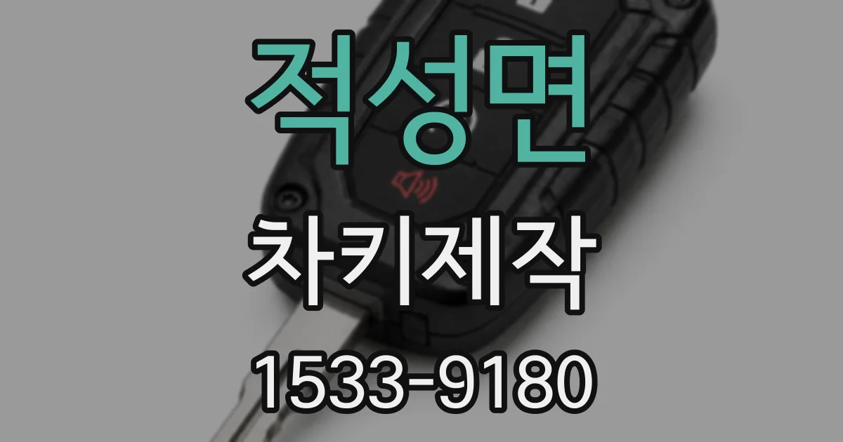 적성면 차키제작